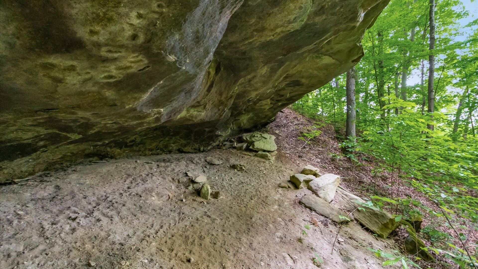 2518 State Route 376 Property Photo 21