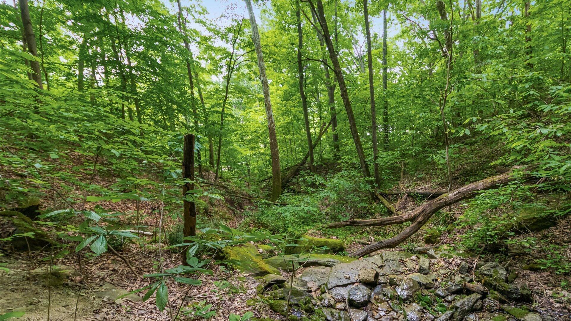 2518 State Route 376 Property Photo 22