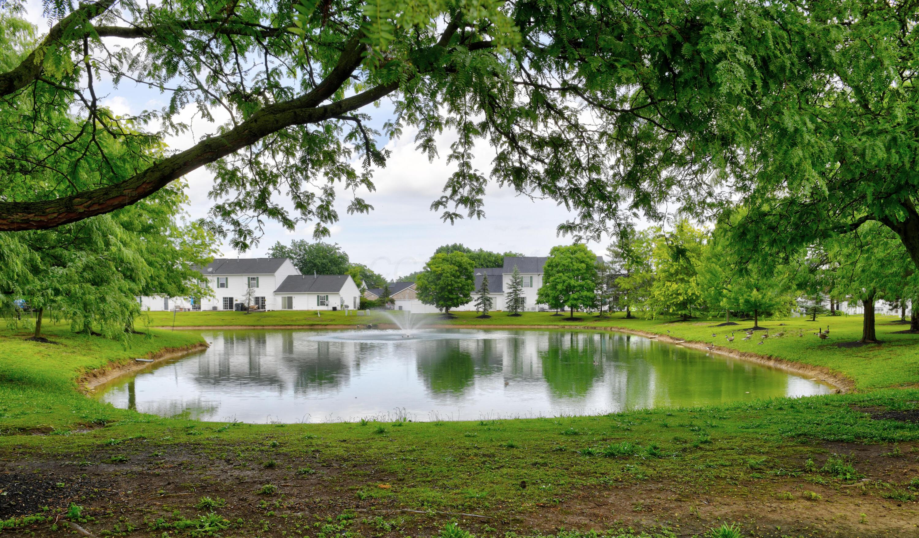 4705 Hobson Drive, 3d Property Photo 6