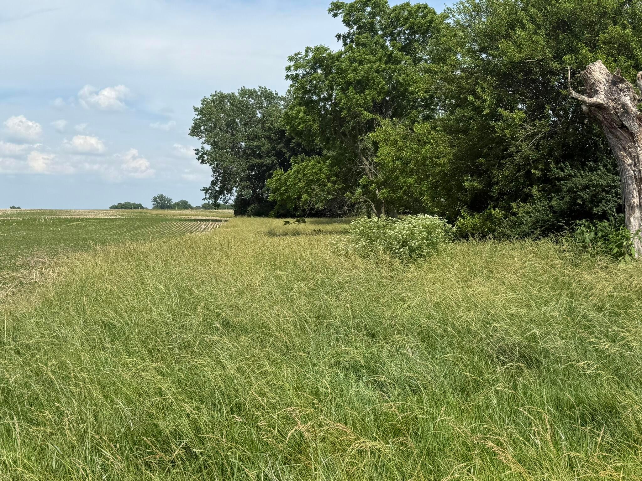 498 Junk Road Property Photo 1
