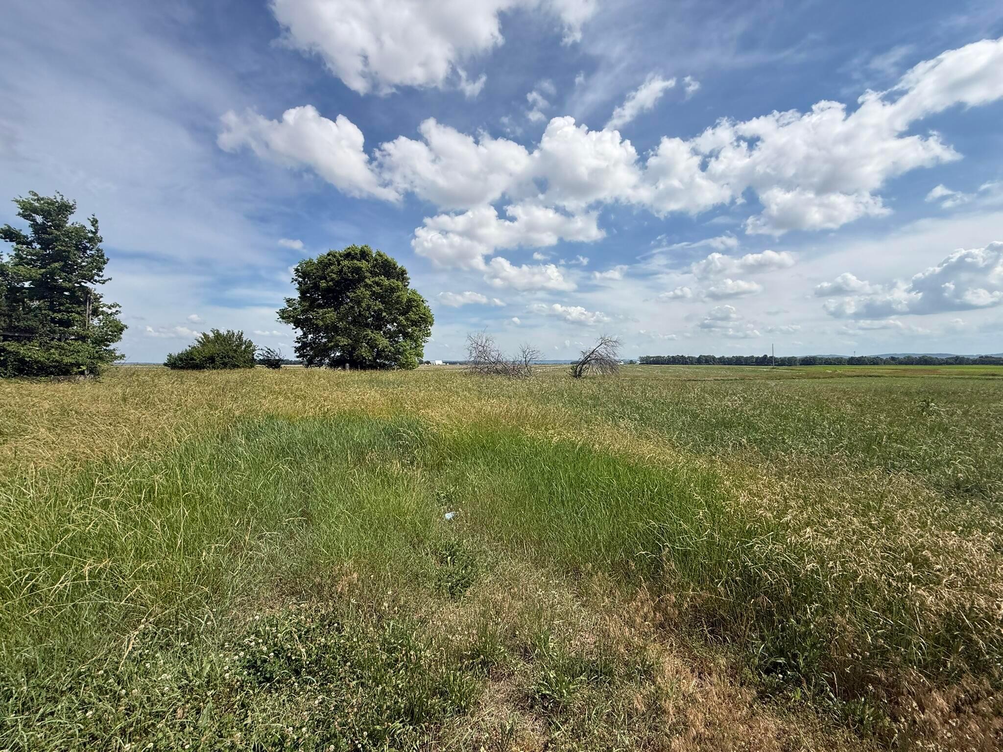 498 Junk Road Property Photo 2