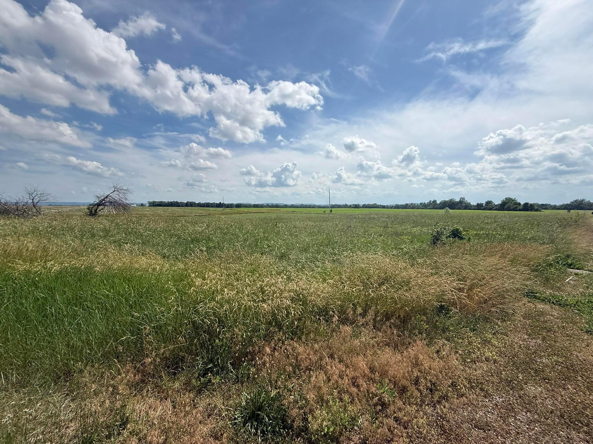 498 Junk Road Property Photo 4