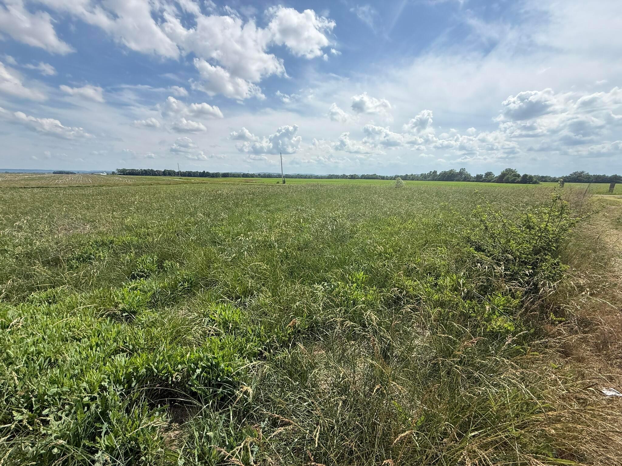 498 Junk Road Property Photo 5
