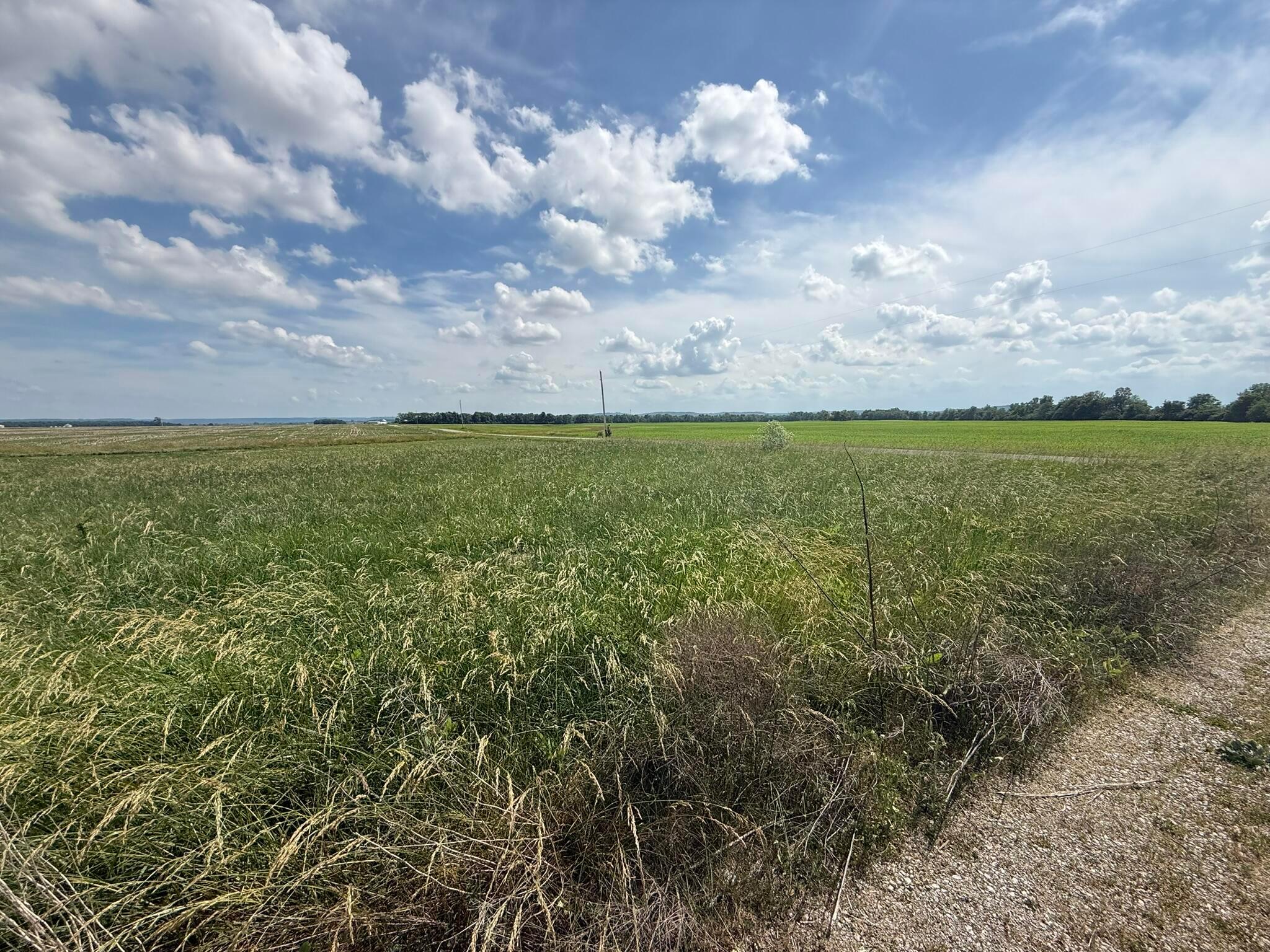 498 Junk Road Property Photo 6