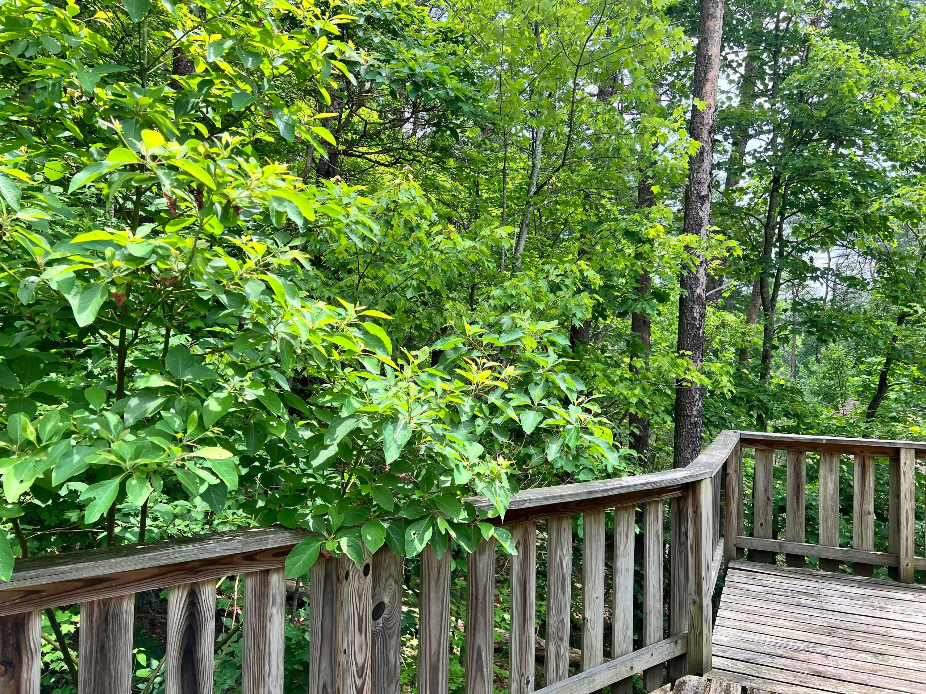 226021710 Property Photo 15
