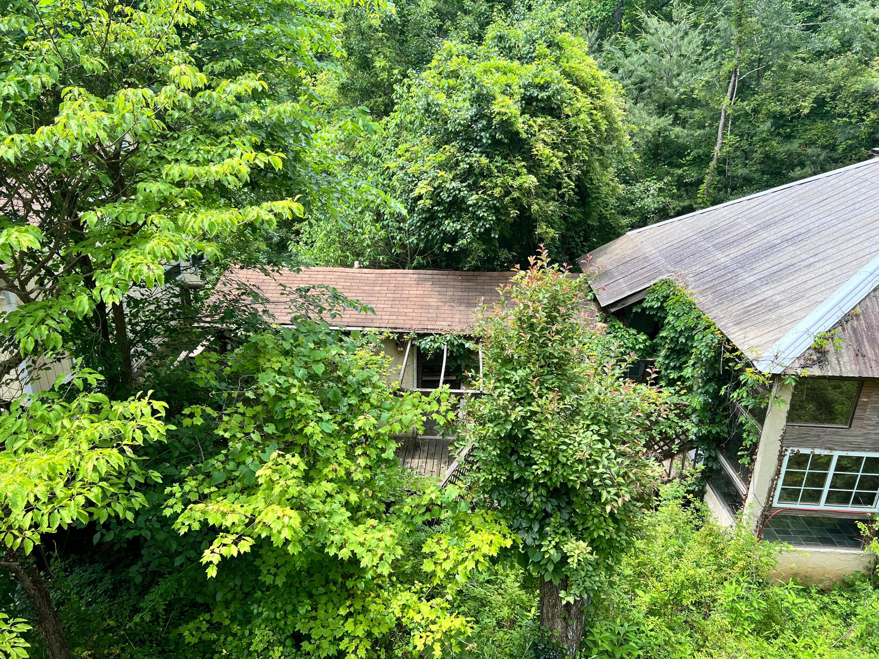 226021710 Property Photo 39
