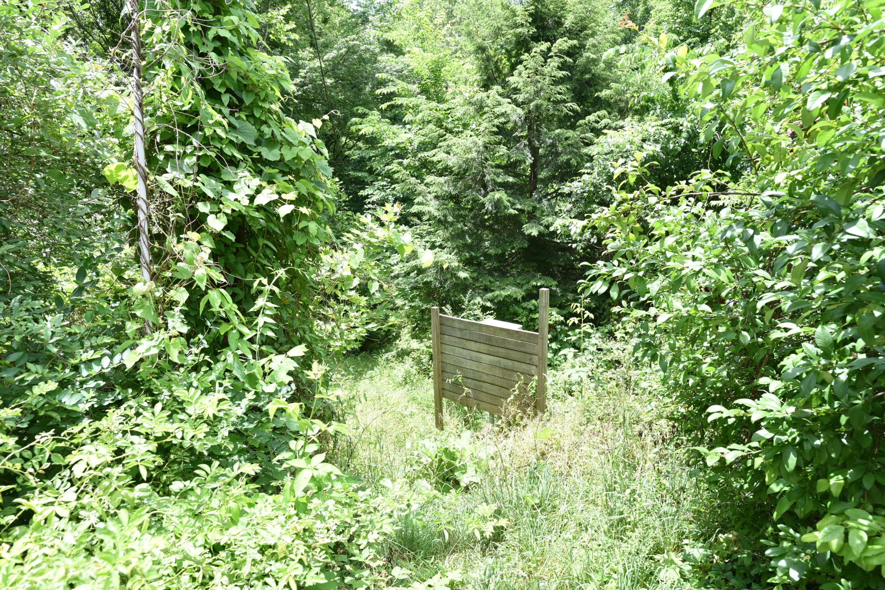 226021710 Property Photo 70