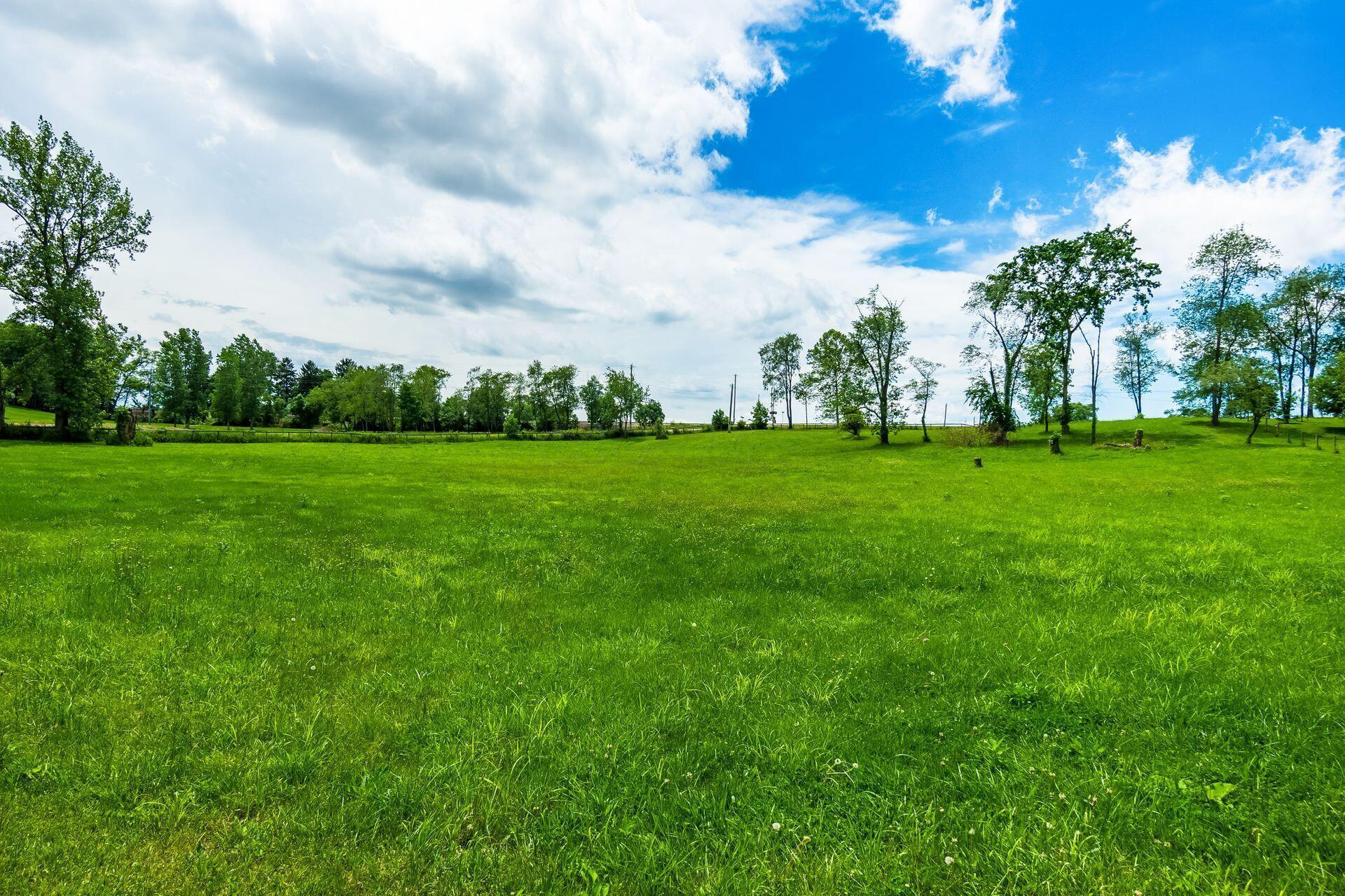 17041 Tulloss Road Property Photo 85