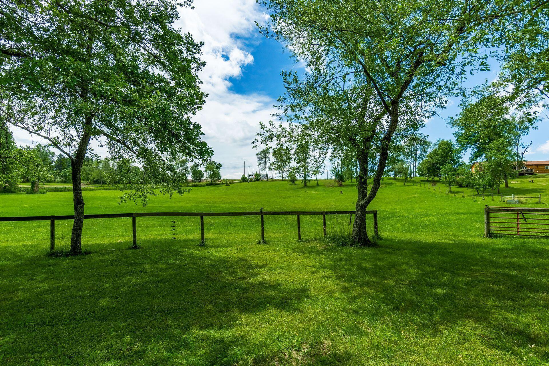 17041 Tulloss Road Property Photo 87