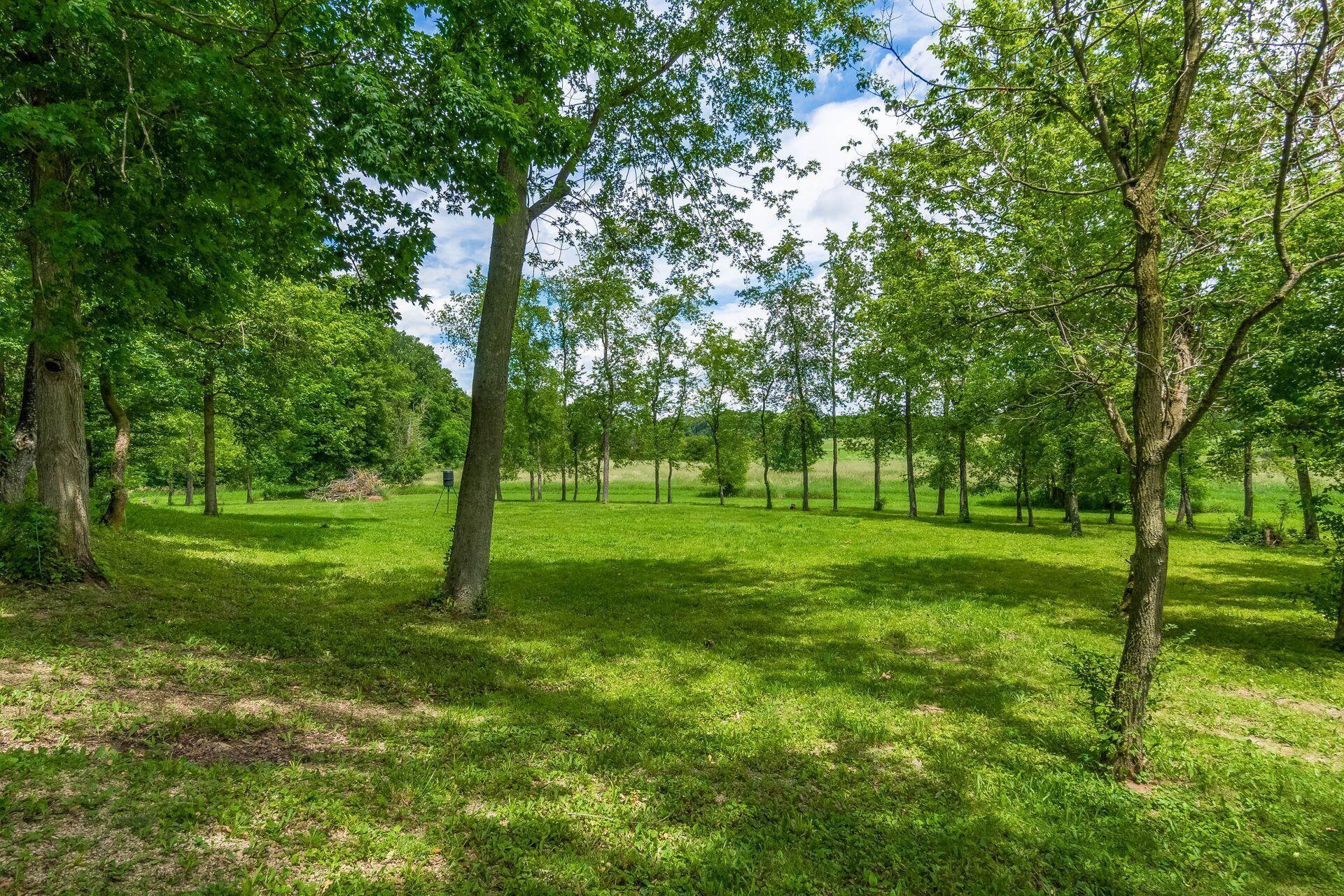 17041 Tulloss Road Property Photo 105