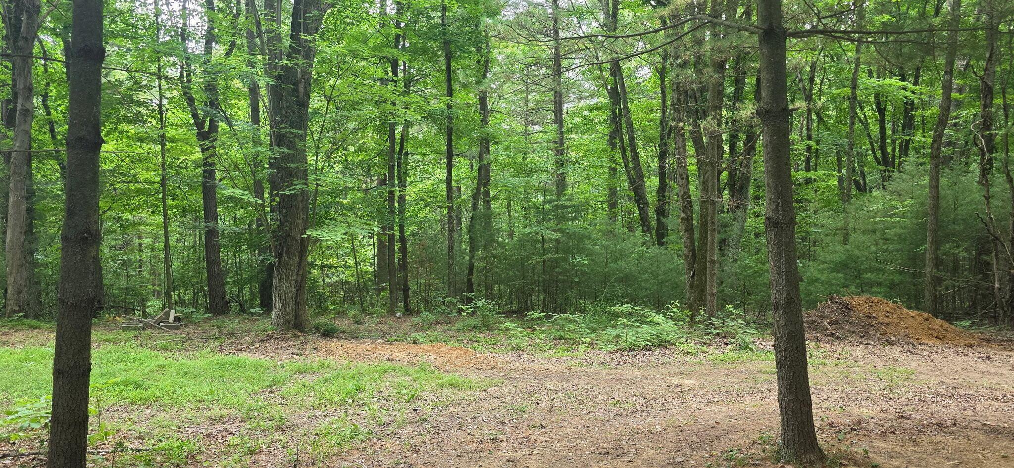 2709 Arter Road Sw Property Photo 19
