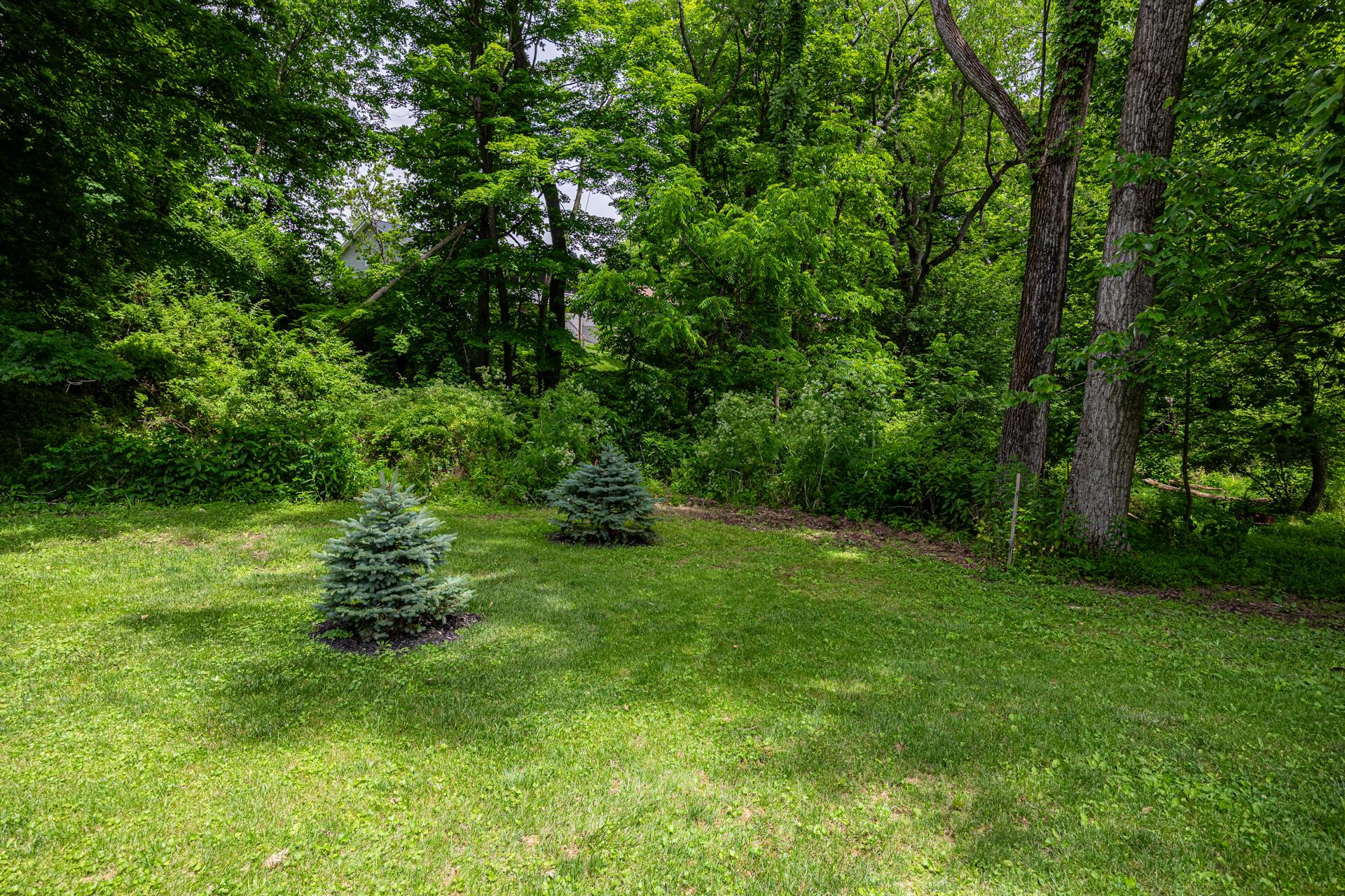 229 Green Valley Drive Property Photo 38
