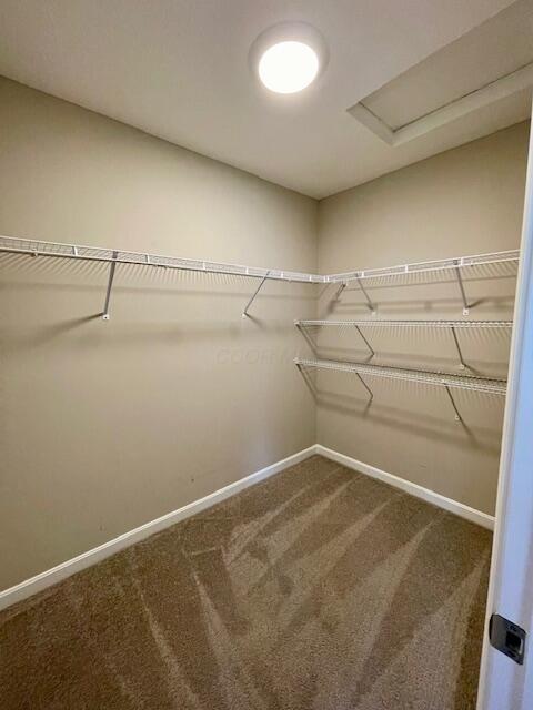 7311 Blackwell Drive Property Photo 27
