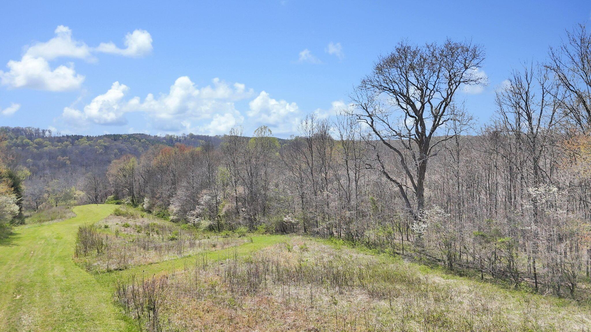 0 Covered Bridge Road Property Photo 3