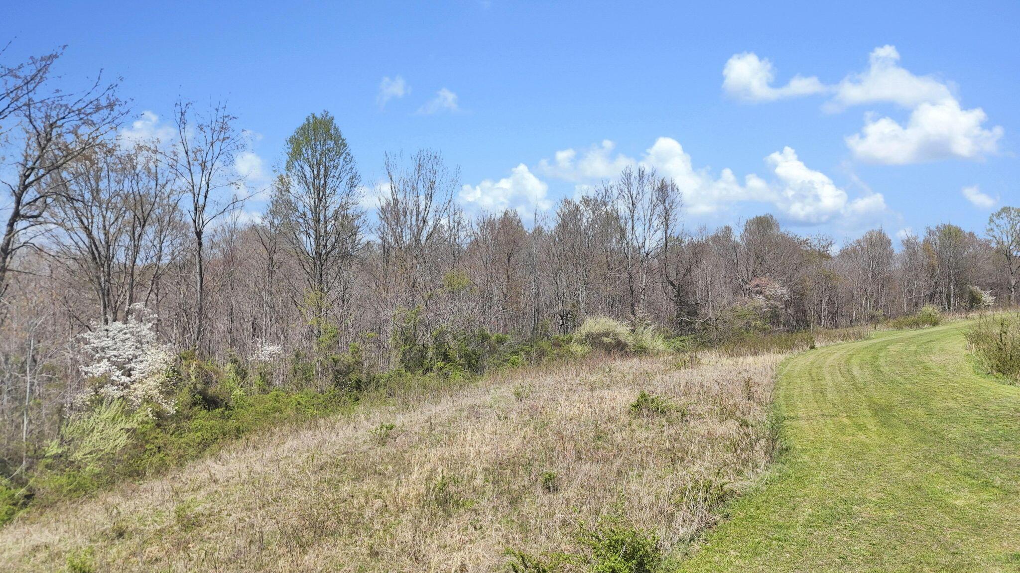 0 Covered Bridge Road Property Photo 4