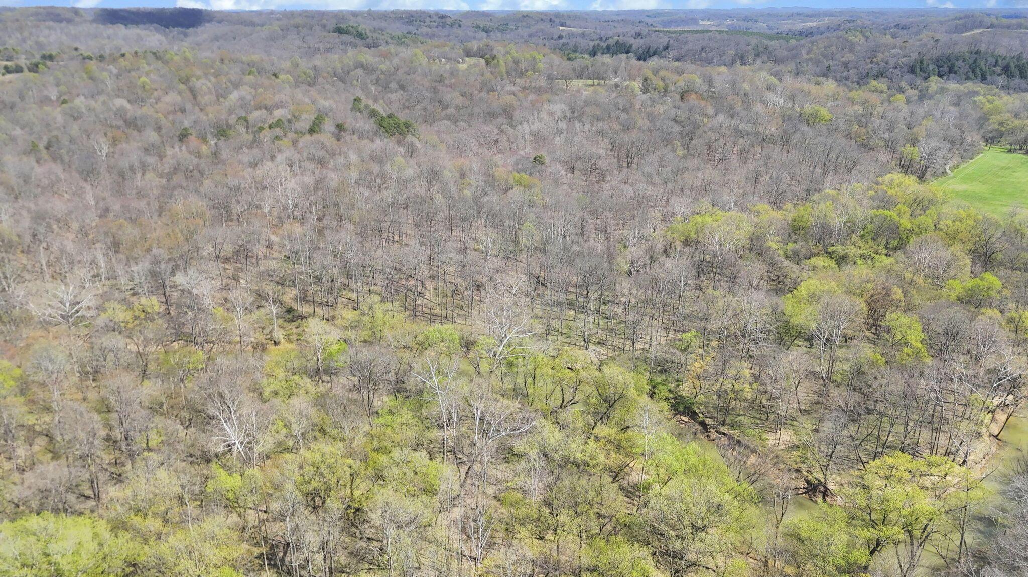 0 Covered Bridge Road Property Photo 5