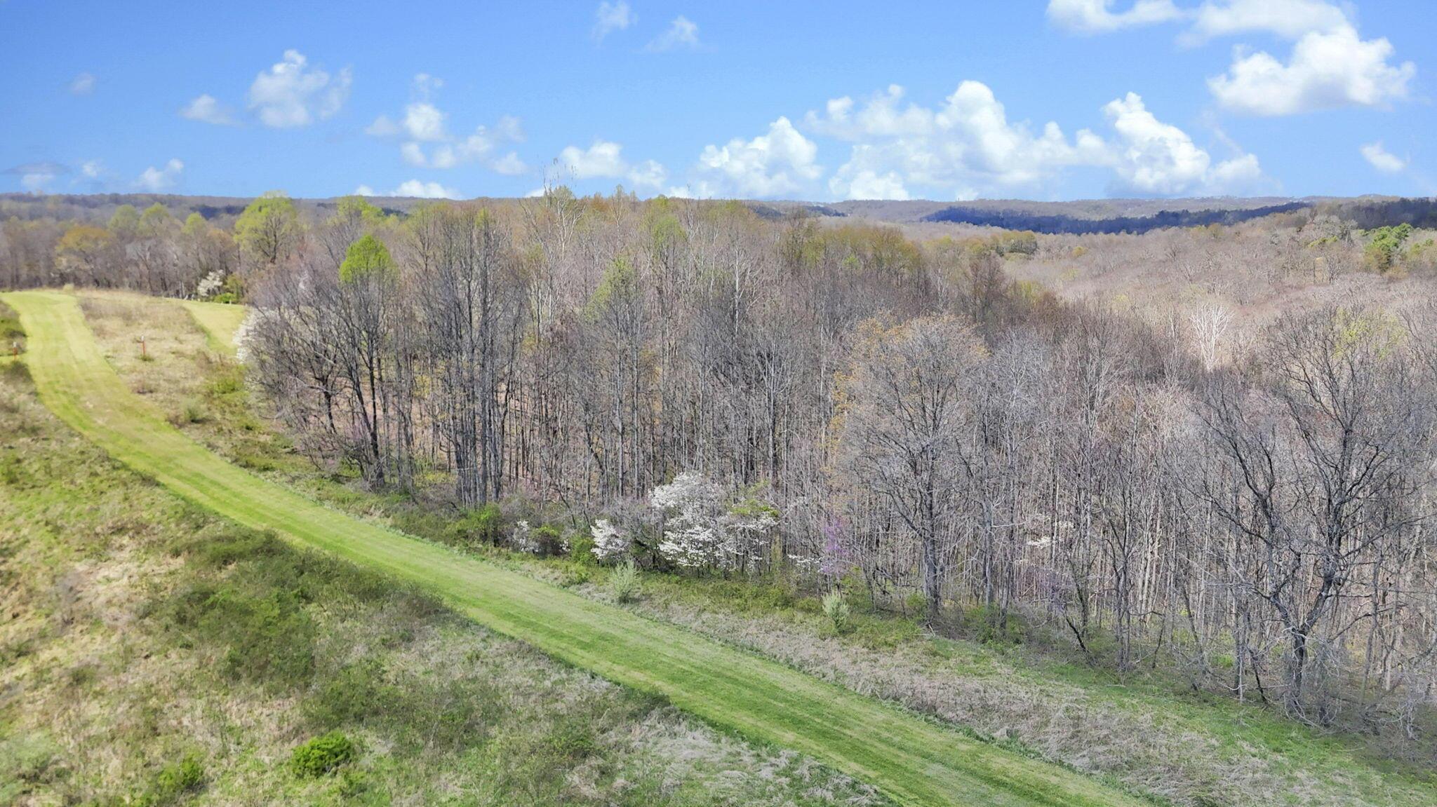0 Covered Bridge Road Property Photo 8