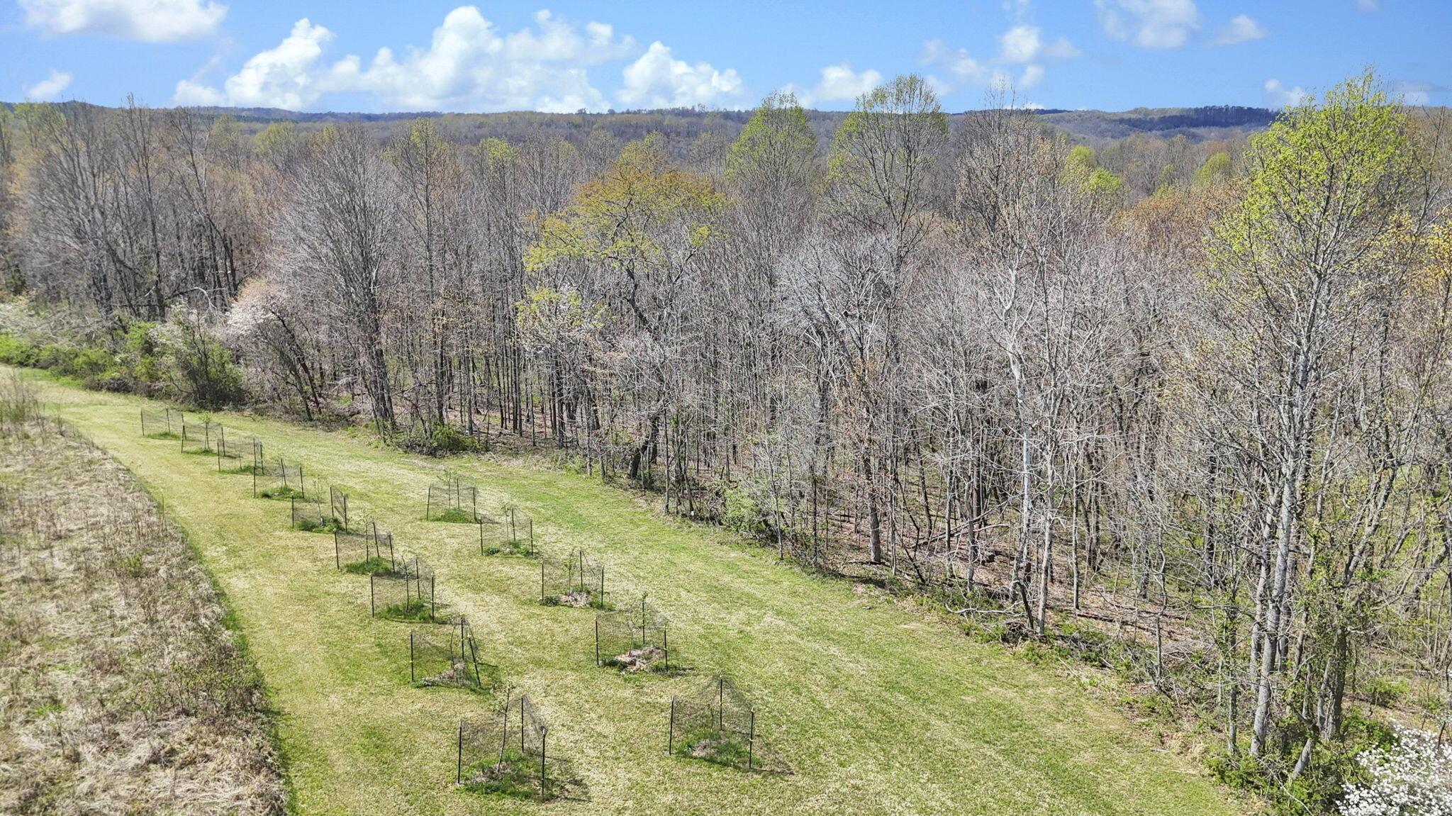 0 Covered Bridge Road Property Photo 9