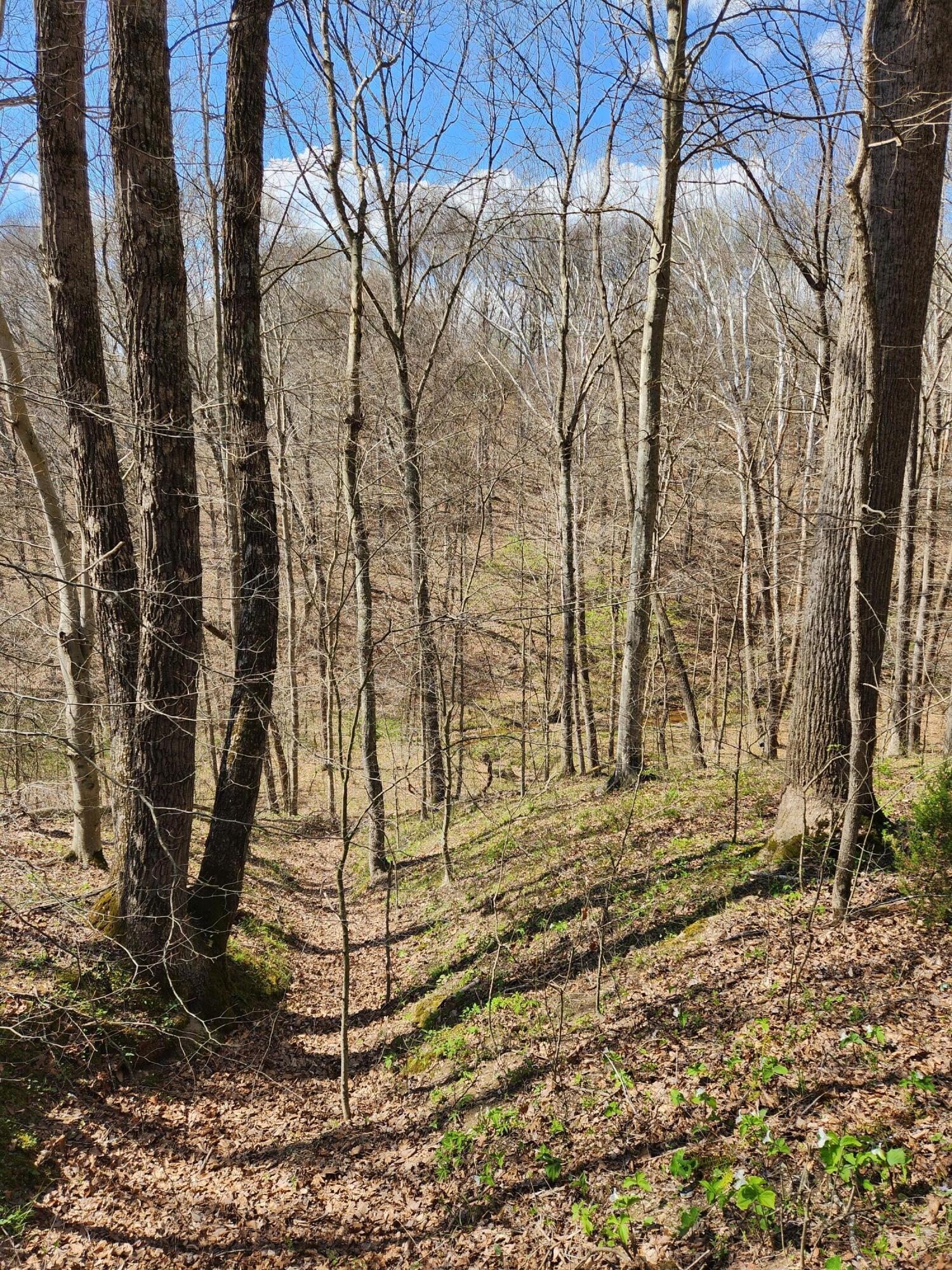 0 Covered Bridge Road Property Photo 10