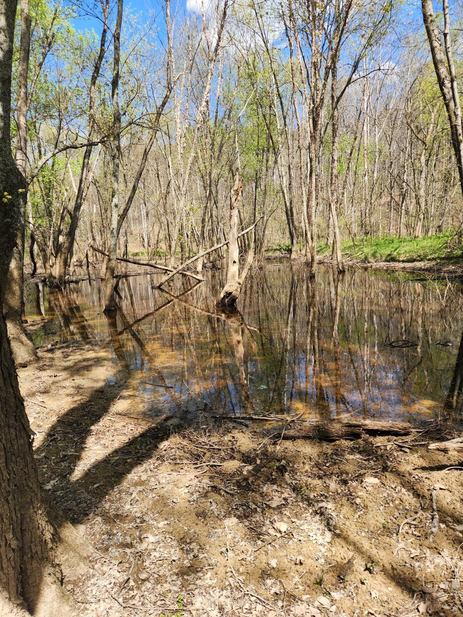 0 Covered Bridge Road Property Photo 11