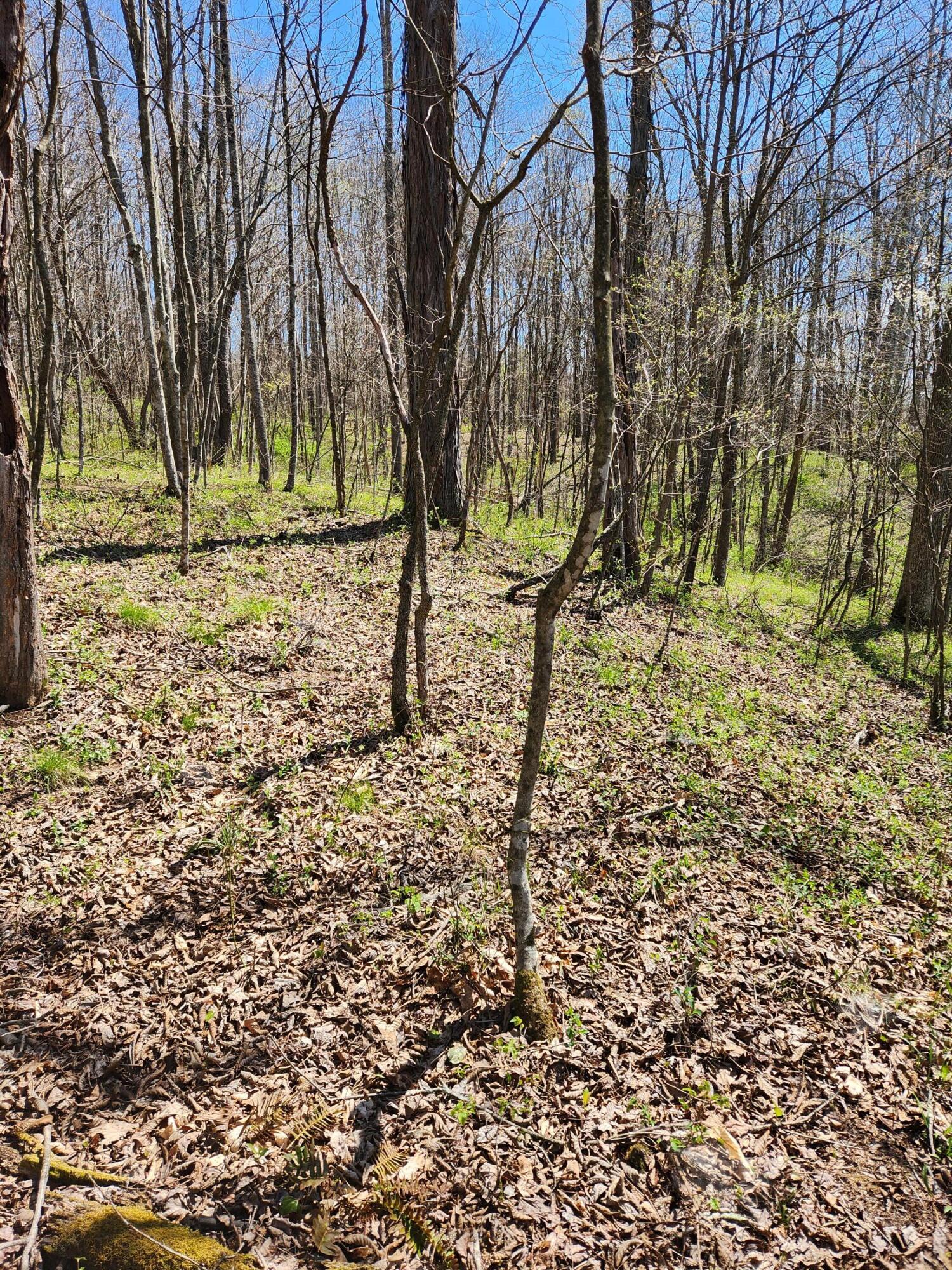 0 Covered Bridge Road Property Photo 12