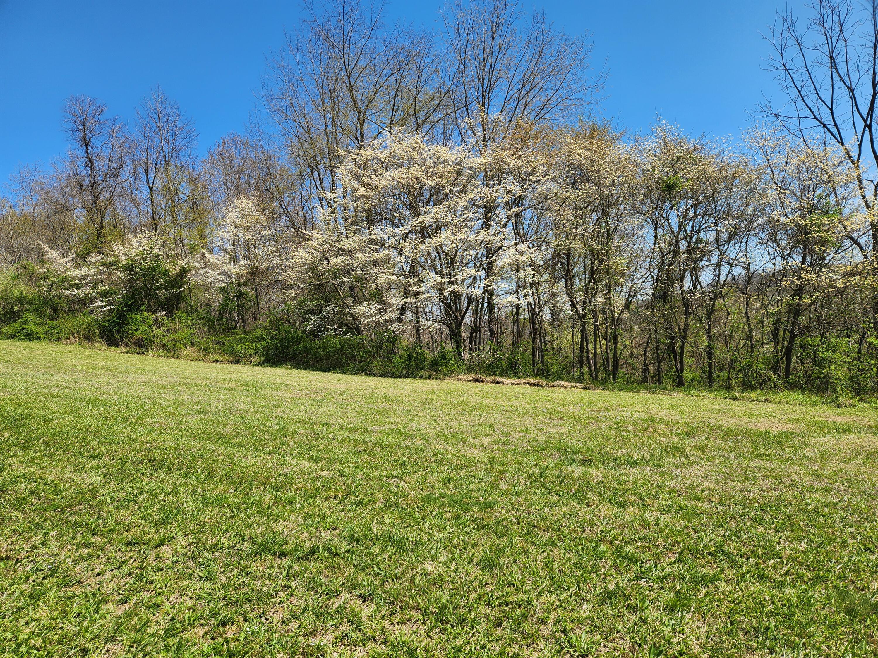 0 Covered Bridge Road Property Photo 13
