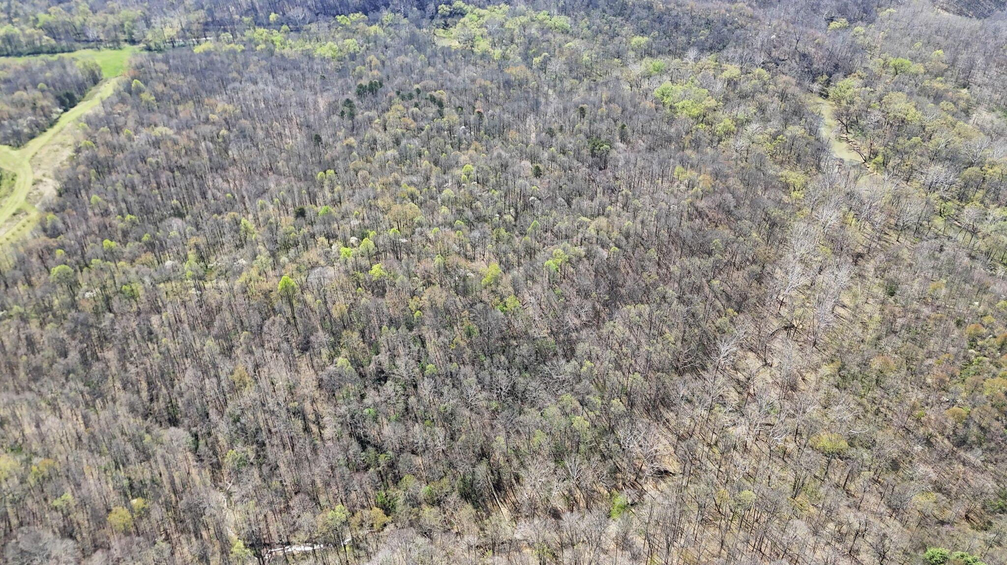 0 Covered Bridge Road Property Photo 28