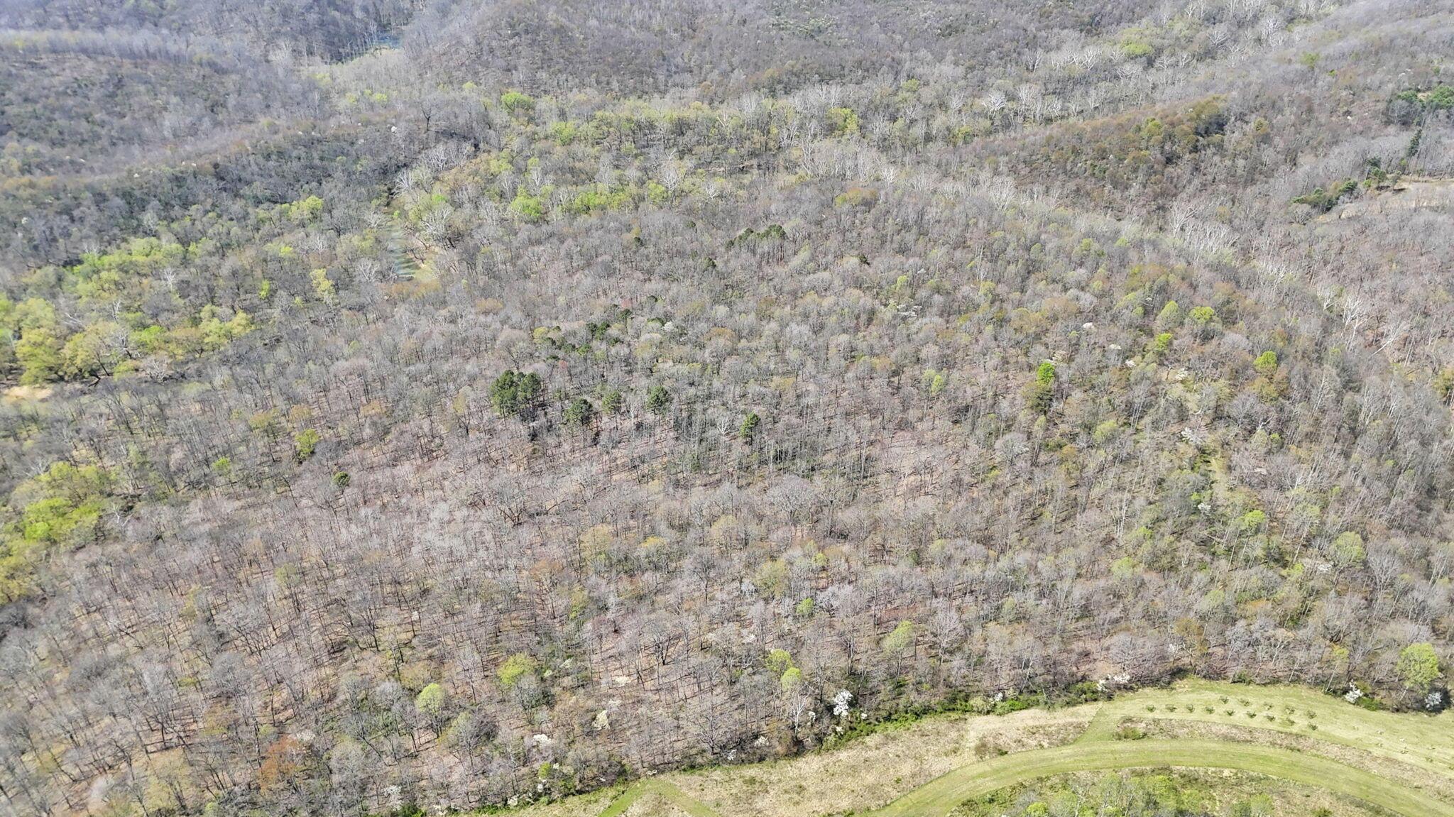 0 Covered Bridge Road Property Photo 36