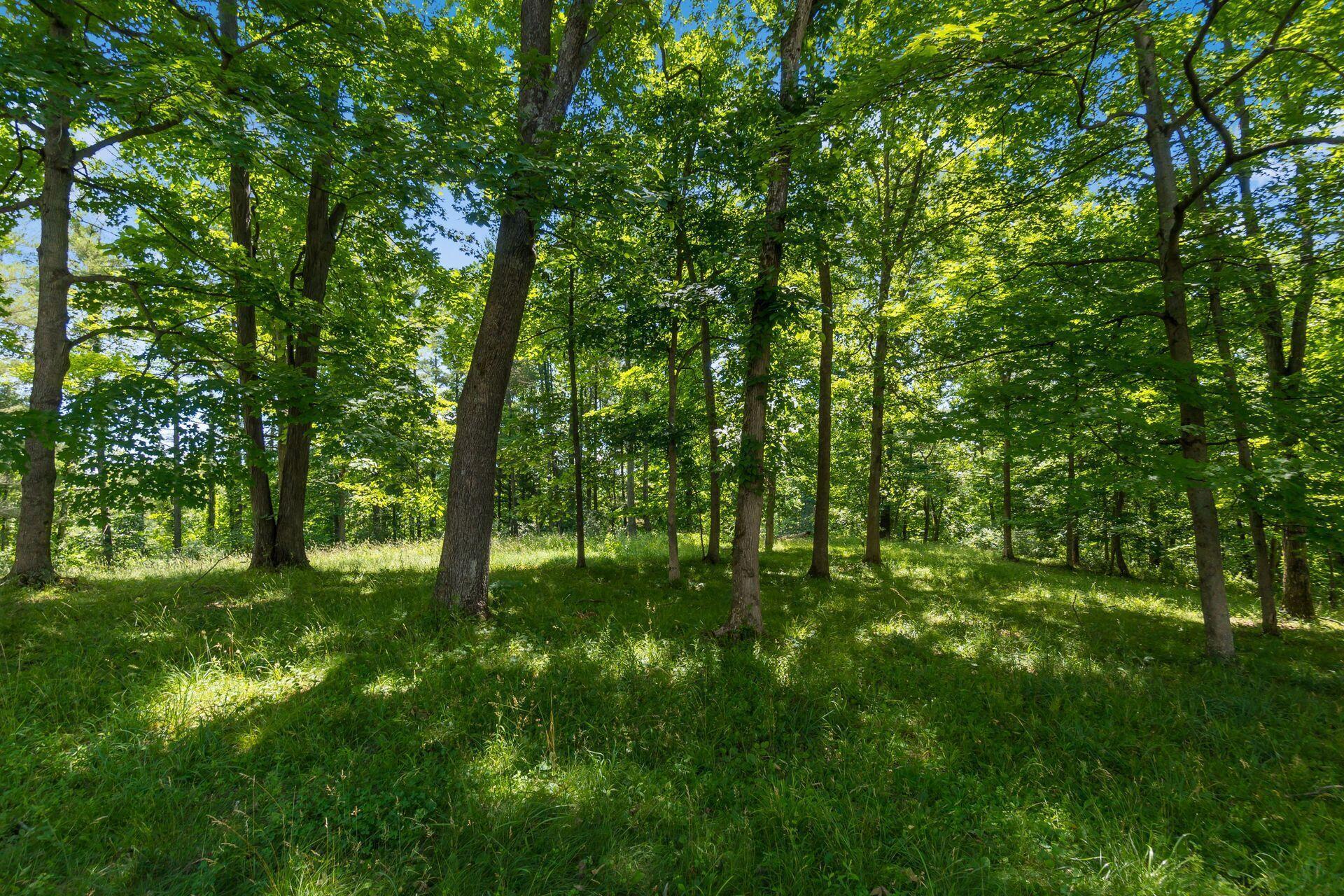 770 Standpipe Road Property Photo 74