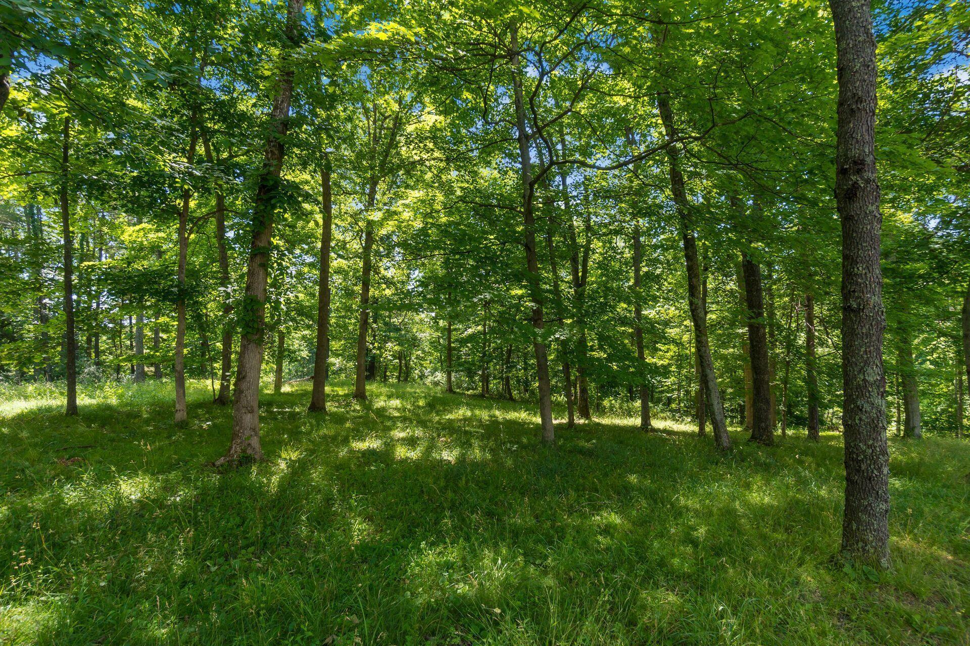 770 Standpipe Road Property Photo 75