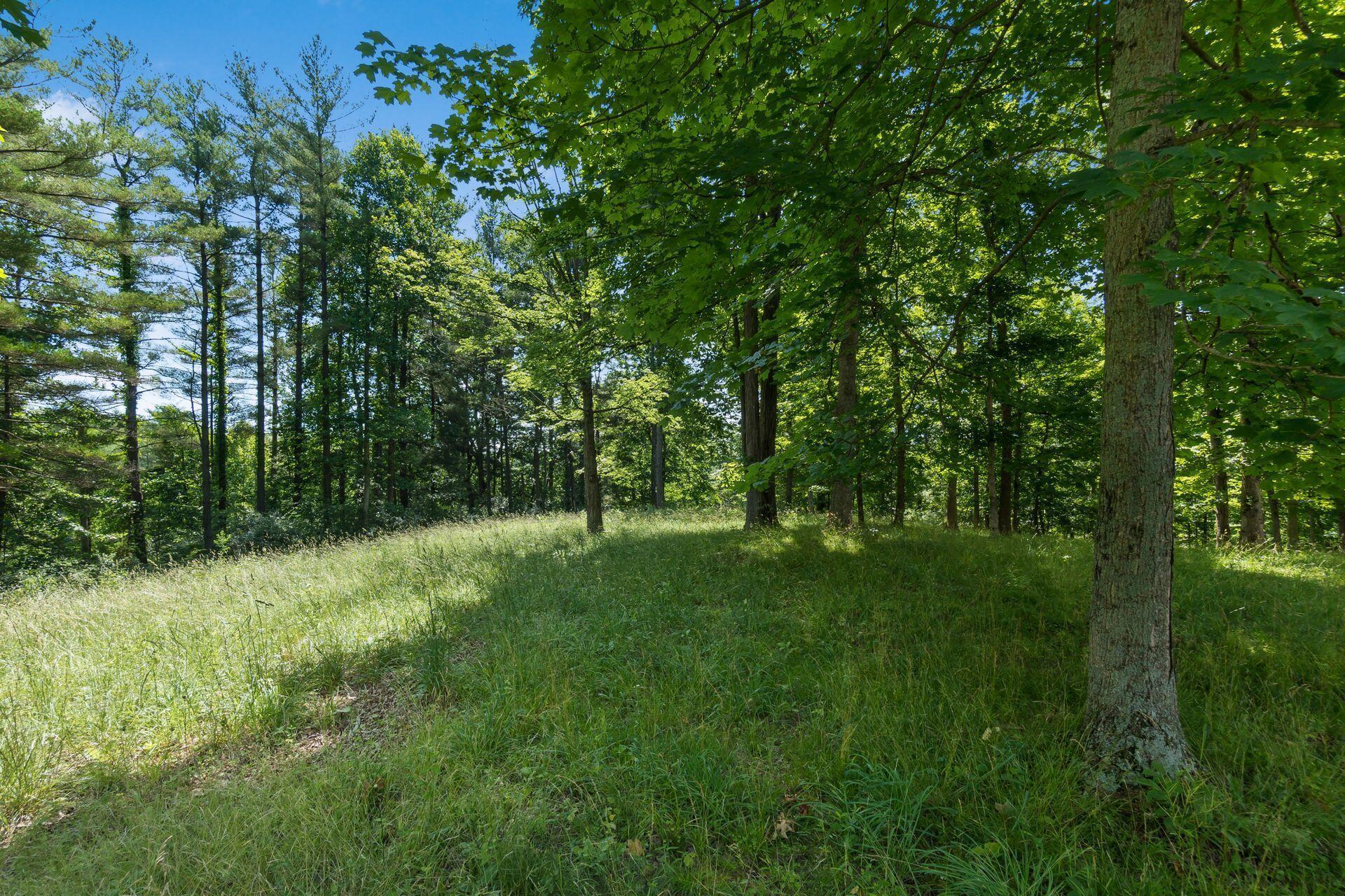 770 Standpipe Road Property Photo 78