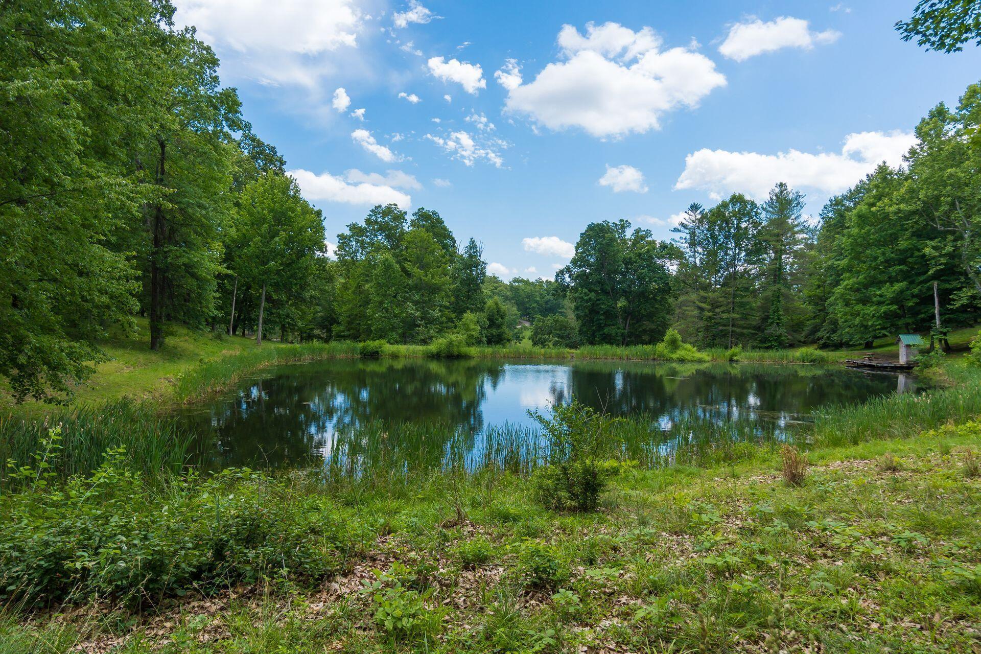 770 Standpipe Road Property Photo 94