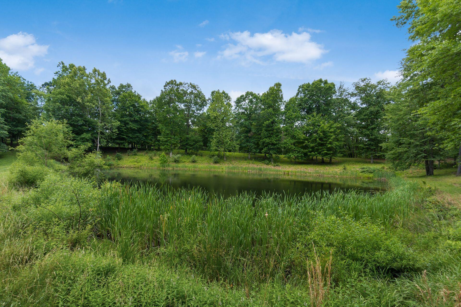 770 Standpipe Road Property Photo 95