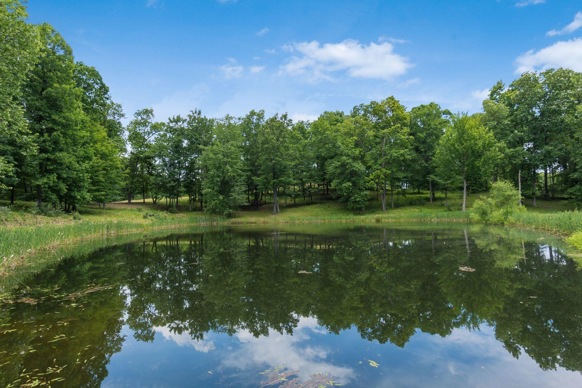 770 Standpipe Road Property Photo 98