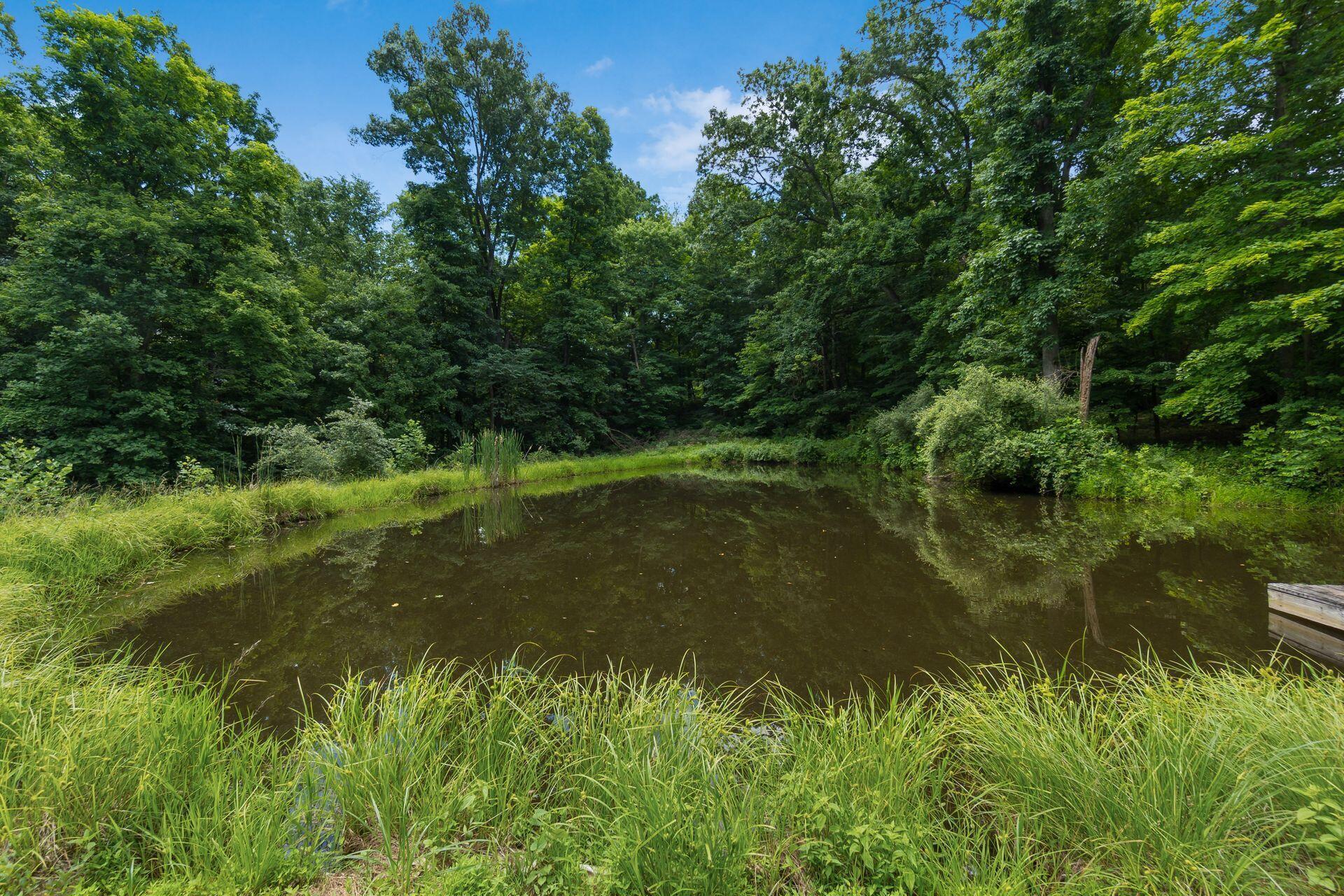 770 Standpipe Road Property Photo 99