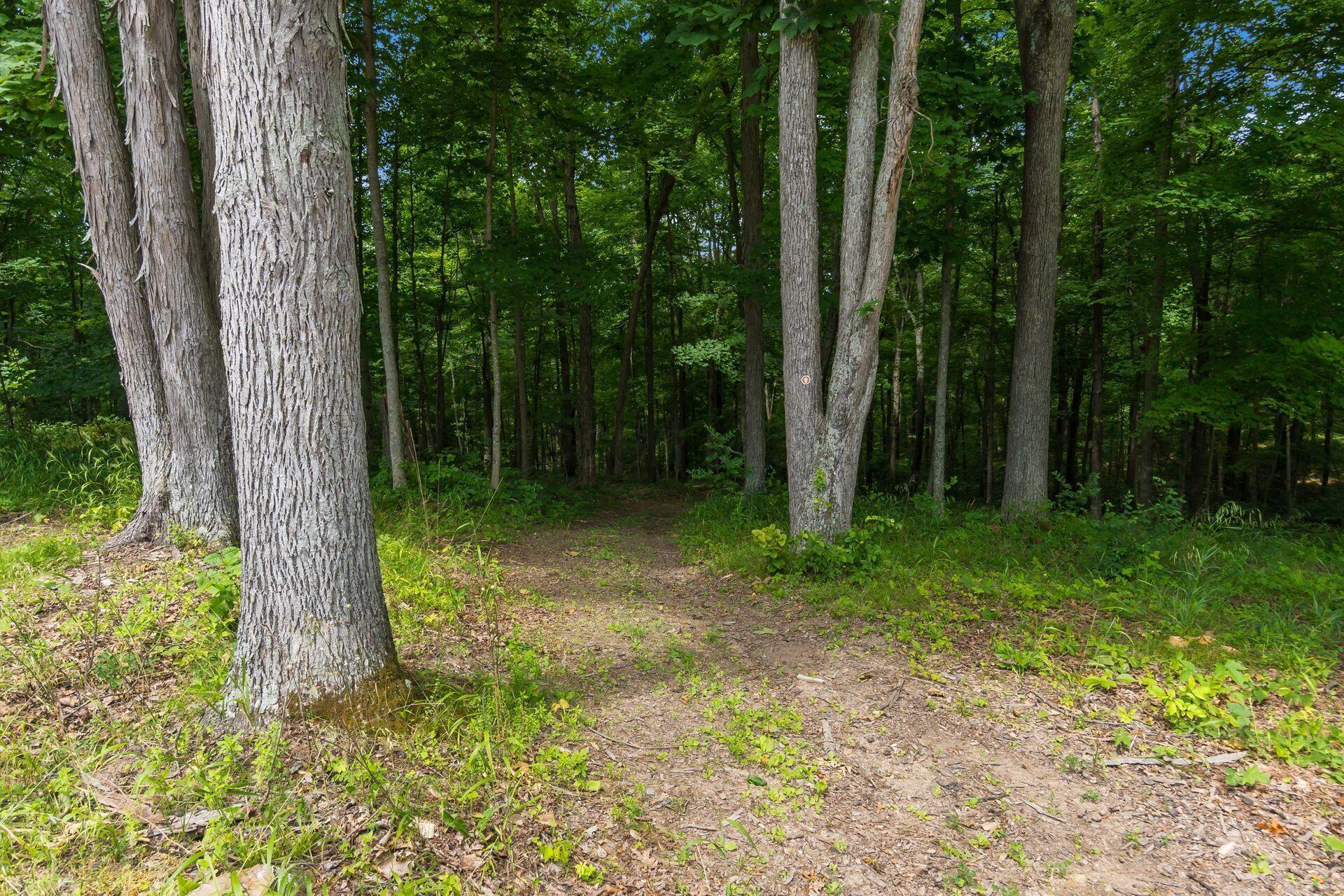 770 Standpipe Road Property Photo 104
