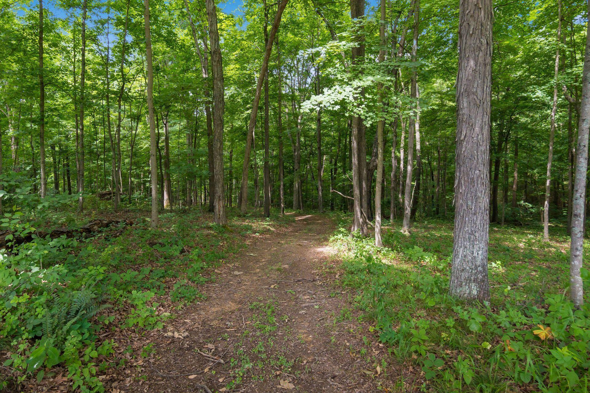 770 Standpipe Road Property Photo 105