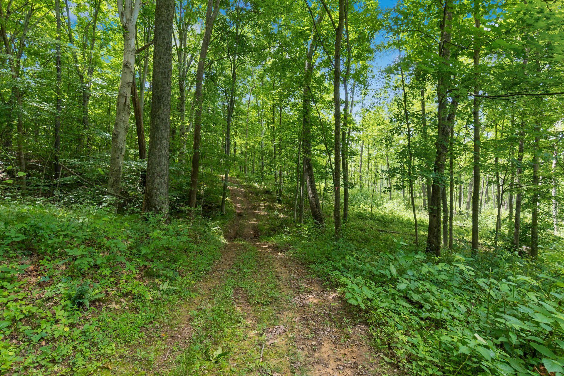770 Standpipe Road Property Photo 106