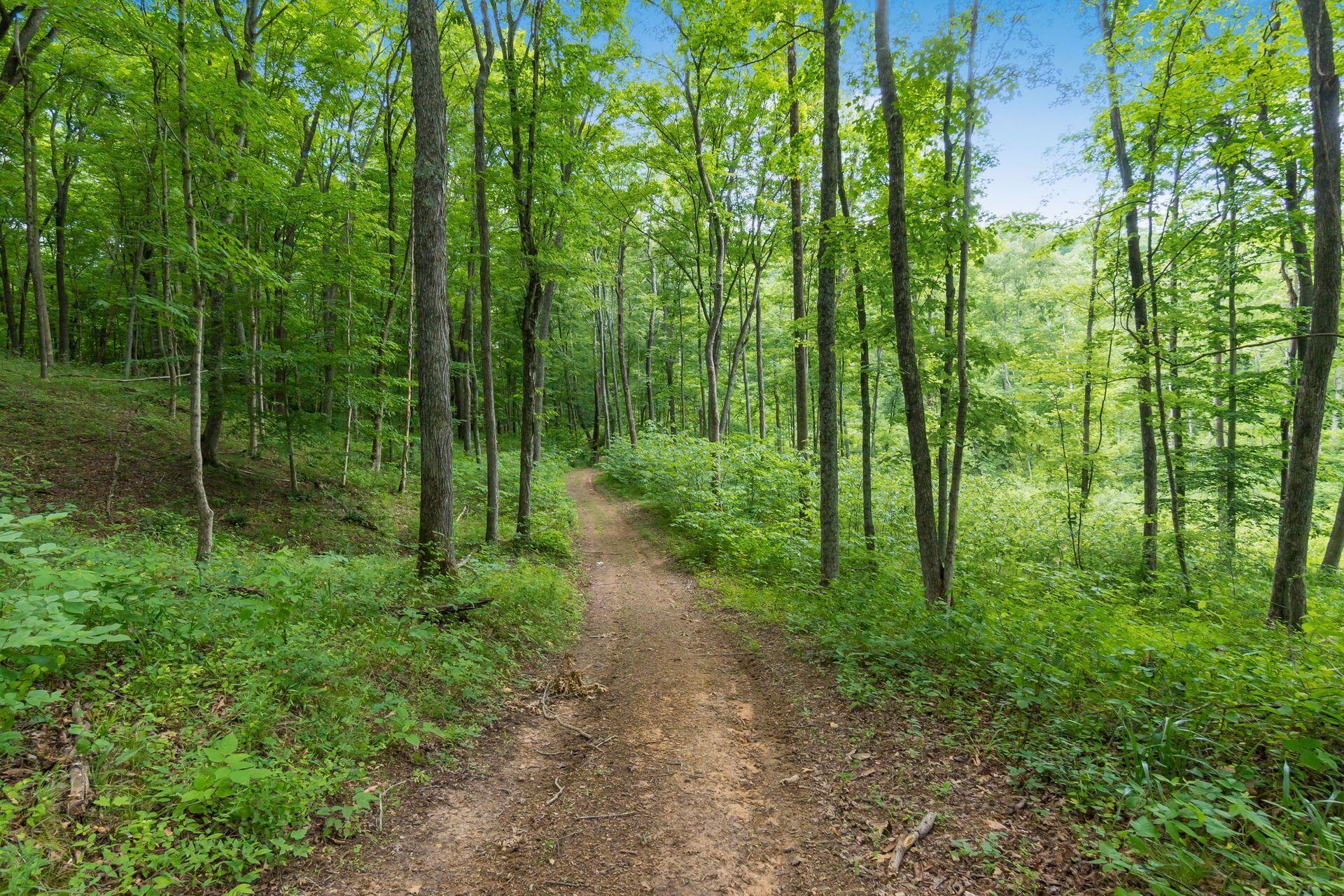 770 Standpipe Road Property Photo 107