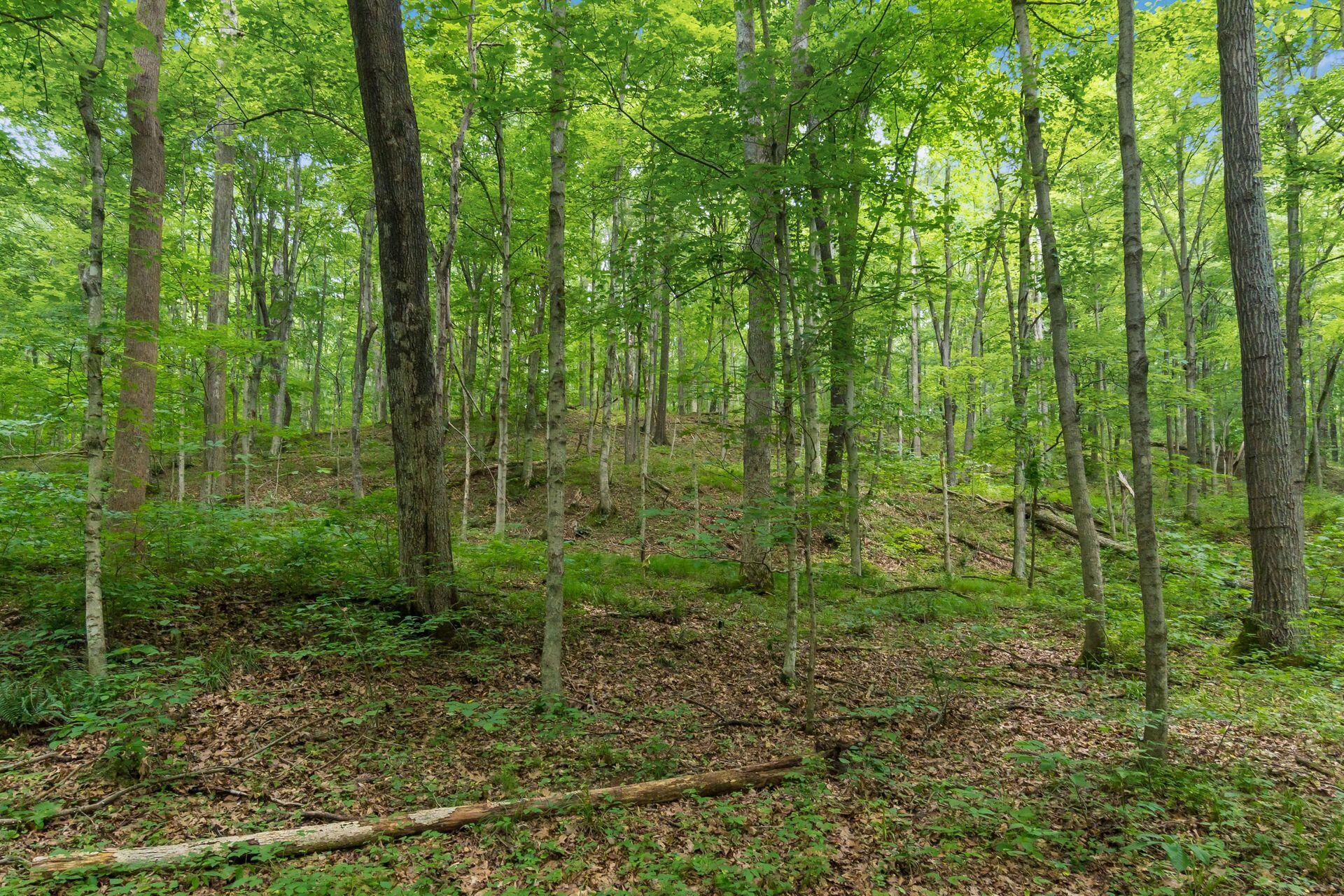 770 Standpipe Road Property Photo 108