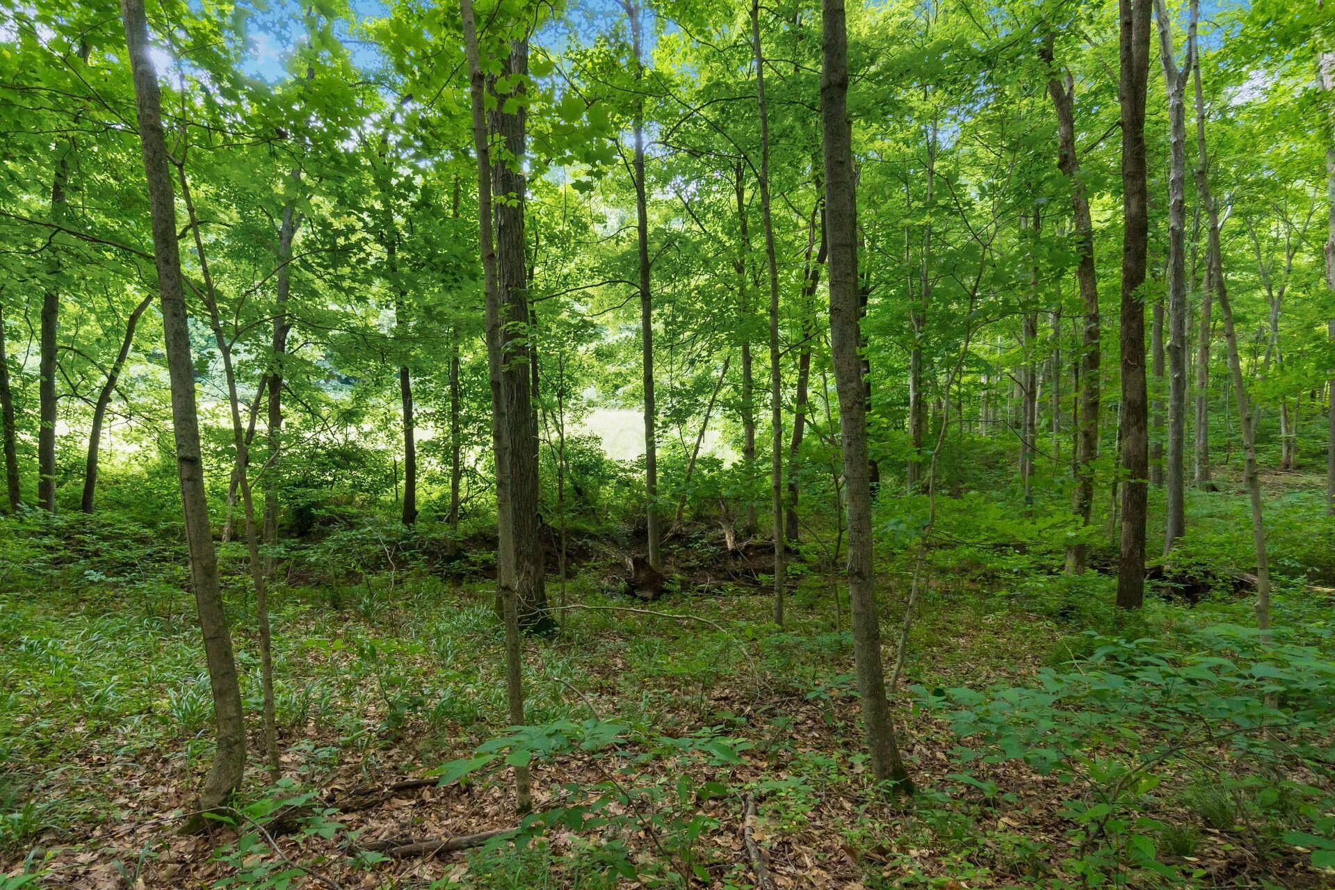 770 Standpipe Road Property Photo 109