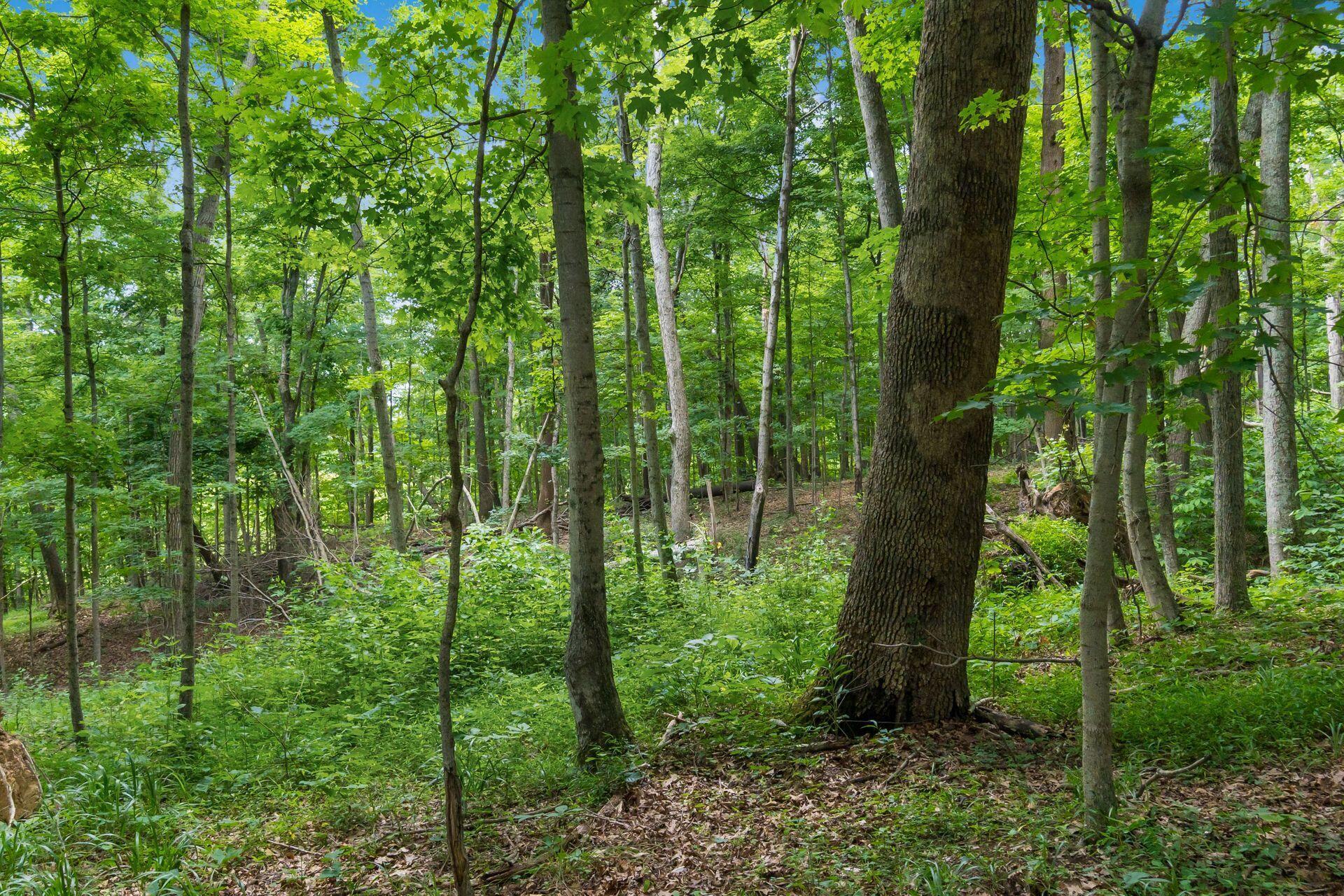 770 Standpipe Road Property Photo 110