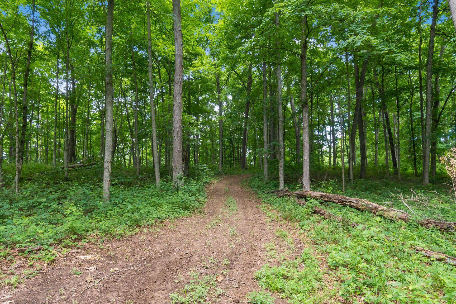 770 Standpipe Road Property Photo 113