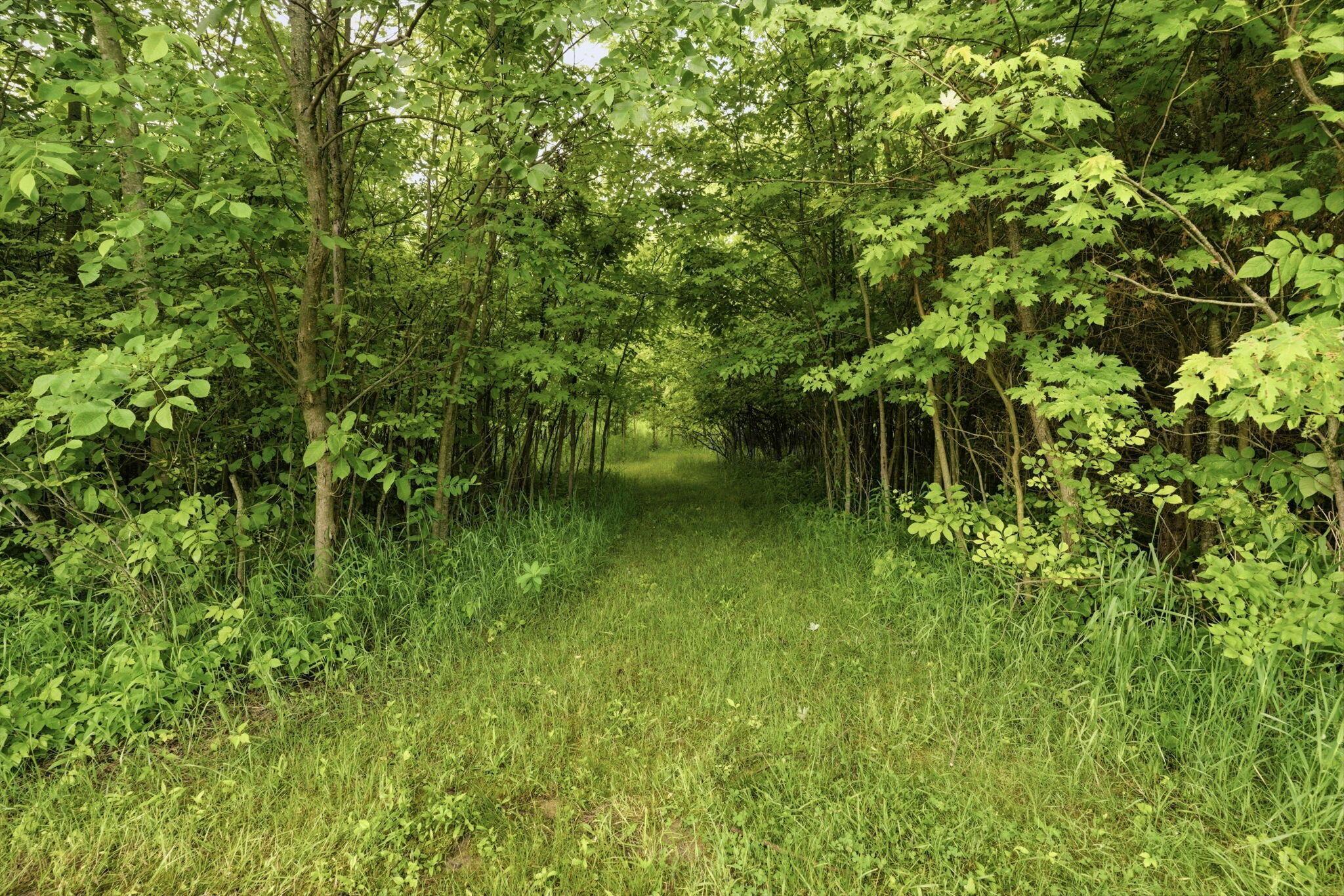 7020 Scioto Road Property Photo 173