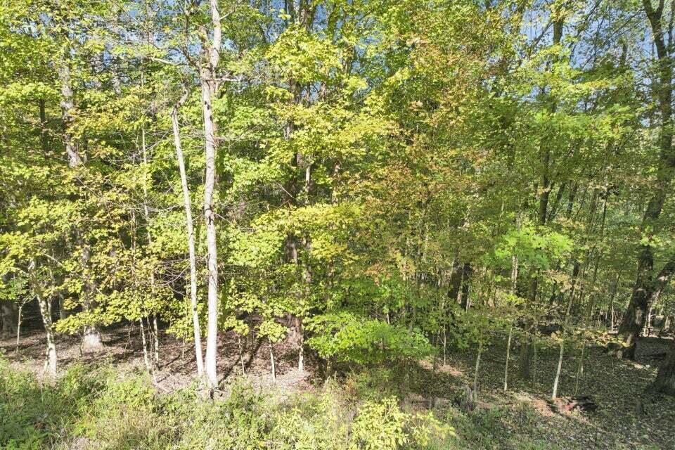 1832 Piegan Court Property Photo 11
