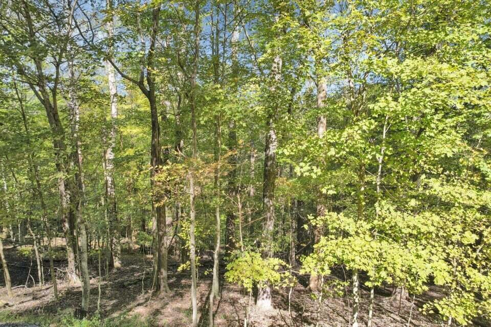 1832 Piegan Court Property Photo 12