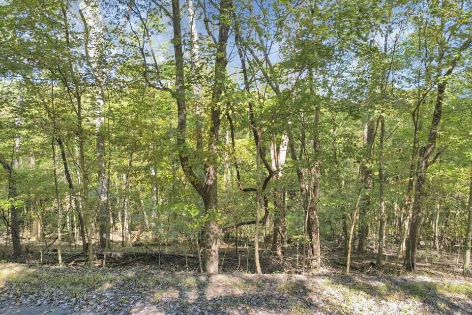 1832 Piegan Court Property Photo 13