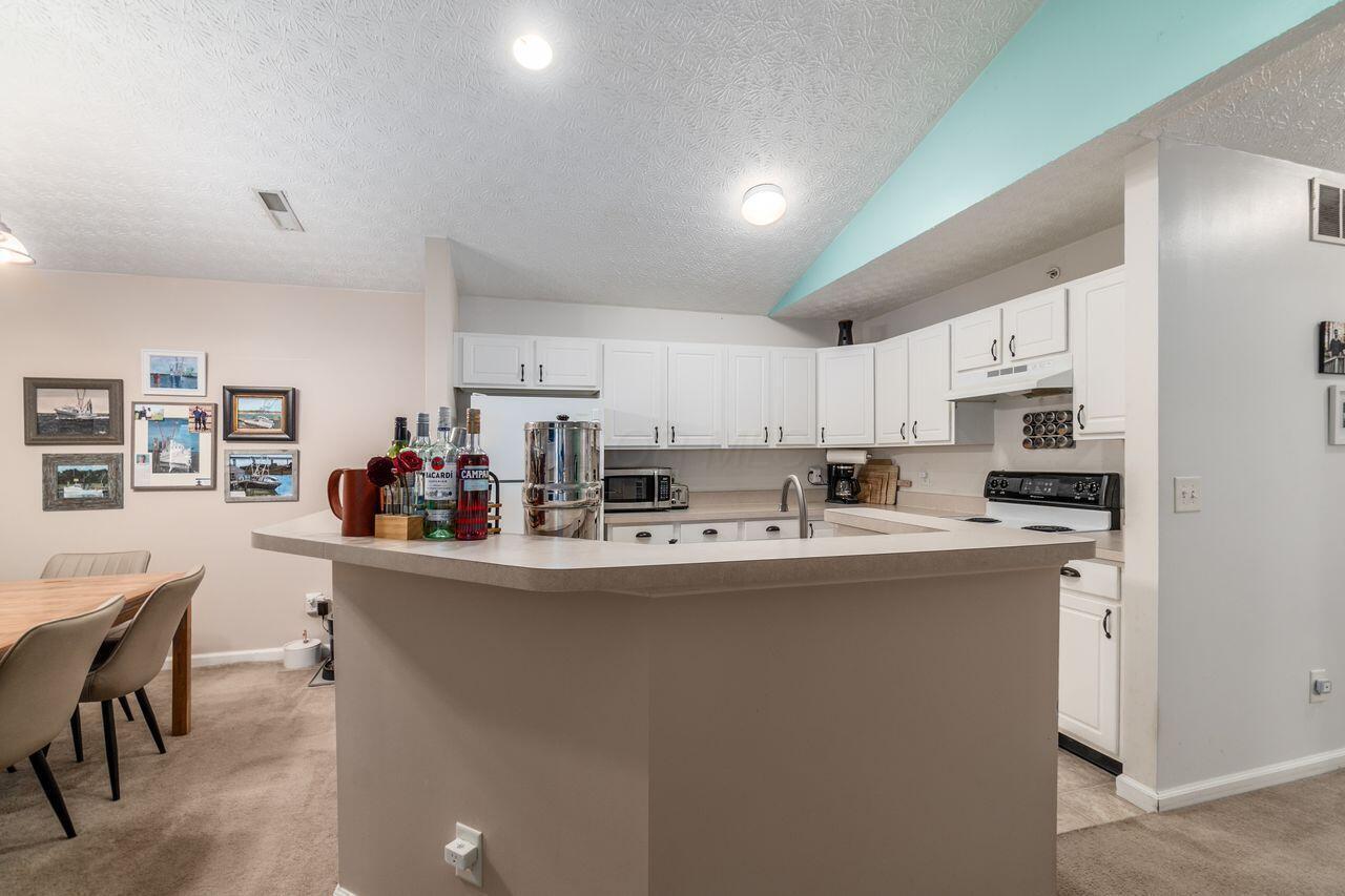220 Shelbourne Forest Way Property Photo 12