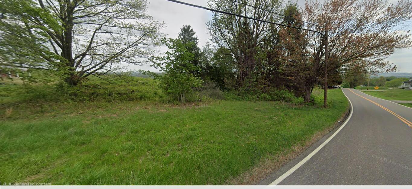 0 County Road 55 Property Photo 4