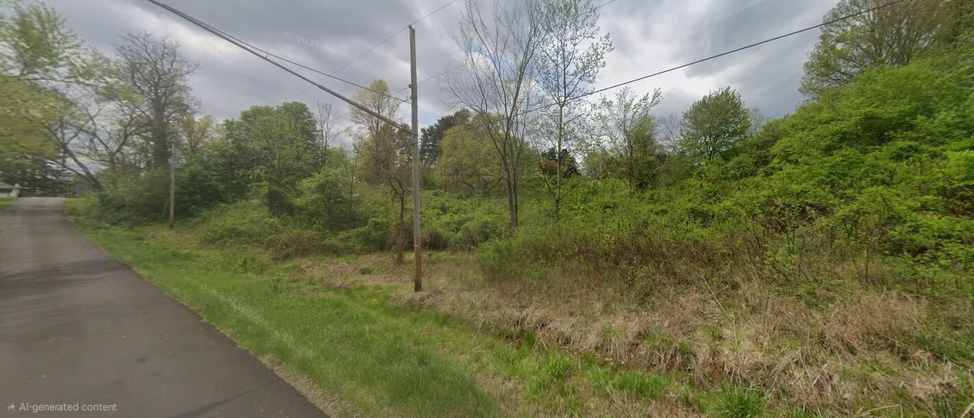 0 County Road 55 Property Photo 6
